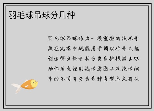 羽毛球吊球分几种
